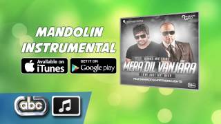 Mera Dil Vanjara (Mandolin Instrumental) | Peji Shahkoti & Northern Lights