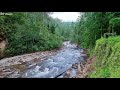 Birds Singing in the Mountain Green Forest, Calming River Sounds