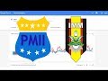 PMII vs IMM