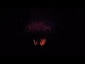 Feuerwerk Pyro Academy 2025 Eisenach #fireworks #pyro #eventpyrotechnik #pyrotechnica #feuerwerk