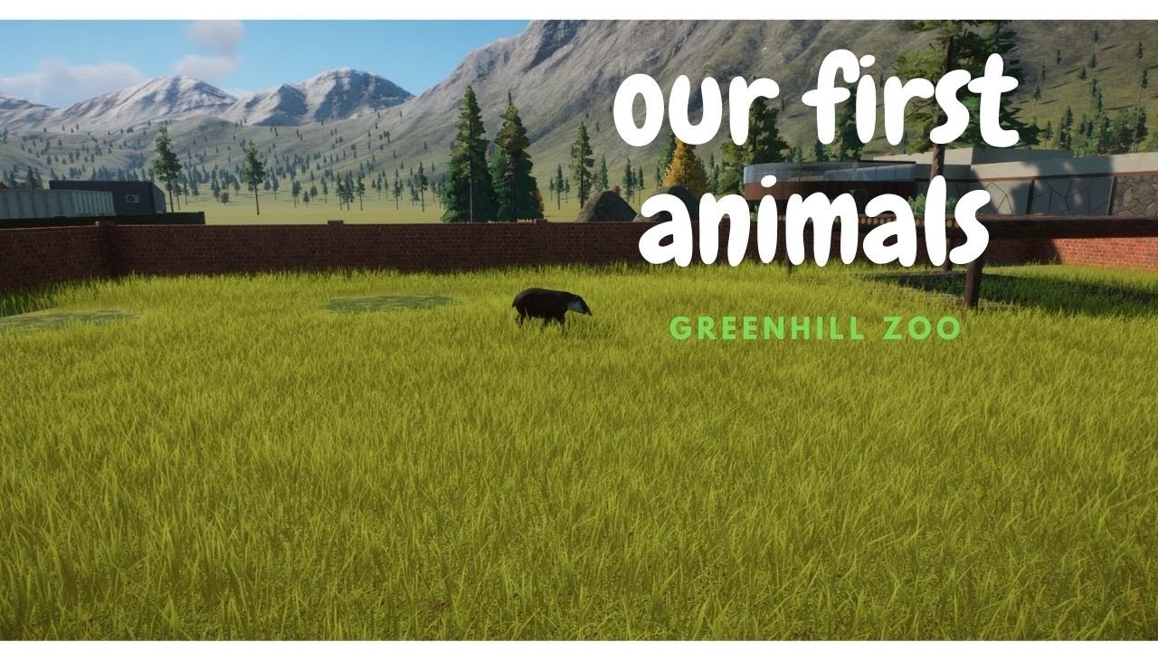 zoo episode 2 getting the first animals Greenhill Zoo YouTube