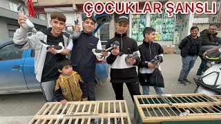 Bakin Ne Emek Veri̇yoruz Gençleri̇mi̇z Yanliş İşler Kovalamasin Di̇ye Kuşçuluğu Aşiliyoruz