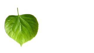World Environment Day - Love In Your Heart screenshot 5