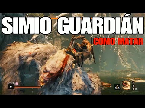 Vídeo: Sekiro Guardian Ape Fight: Cómo Vencer Y Matar Al Guardian Ape Y Al Mono Decapitado