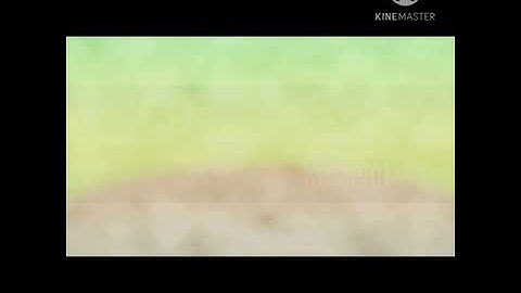 Love & Respect // Moral Science // BY - ASMA QASIM // CLASS - 1 // ICSE