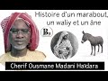 Histoire dun waliy un marabout et un ne cherif ousmane madani hadara