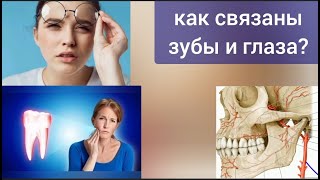 Мощная, но уязвимая артерия верхней челюсти даёт жизнь зубам, деснам и глазам. Методы декомпрессии
