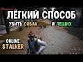 STALKER ОНЛАЙН / Фарм на собаках и леших в городе Любеч