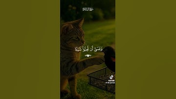 استمع القرآن الكريم #comedianmahmoudagamey #محمودعجمي #قران_كريم #قرآن #قرآن