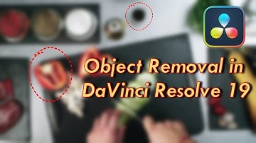 How To Remove Objects in Davinci Resolve 19 (Studio) | Tutorial