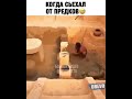 Когда съехал от родителей