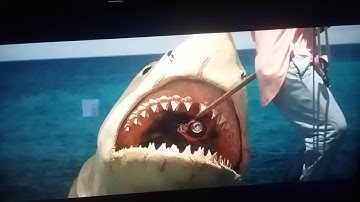 Jaws 4 The Revenge Shark Got Jake Attacked by a Great White Shark Debralee Scott