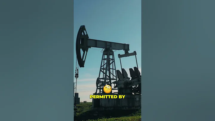 How Much Is a 20 Acre Mineral Tract in Texas Worth?🤑 #shorts #mineralsguy