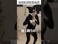犬のおもしろ動画にツッコミどころ満載なアフレコしてみた#487【ワンツー】【ハプニング映像】#shorts #アフレコ #面白動画
