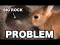 A Big Rock Blocked the Tunnel… What Will She Do? 🐰