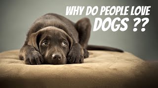 Humans And Dogs : Man's Best Friend (The Unbreakable Bond Between Humans and Dogs)