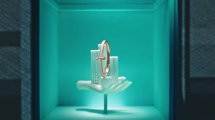 Tiffany & Co. Icons: T by Tiffany - DayDayNews