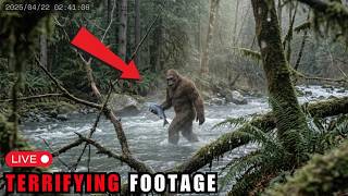 3 Hours of Most DISTURBING Bigfoot Encounters Caught on Camera