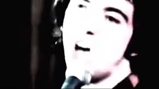 Buzzcocks - Orgasm Addict