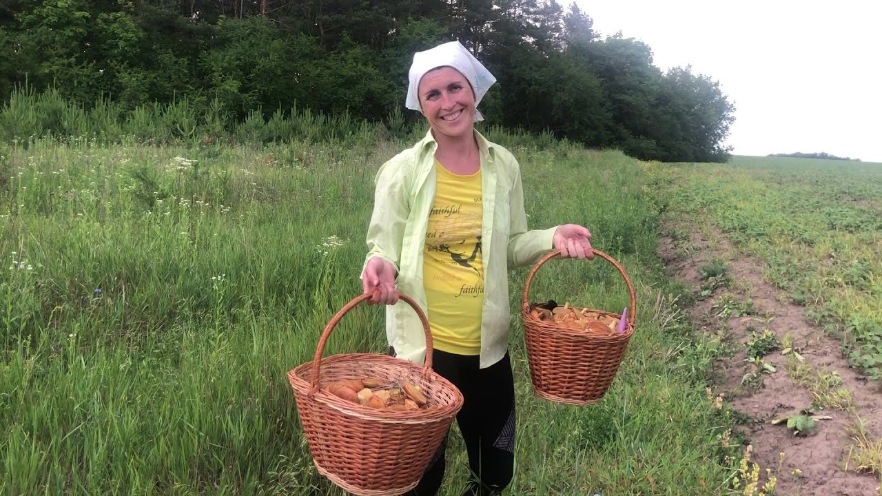 Все в грибах.Серце чуть не зупинилось.