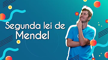 O que é a lei da segregação?