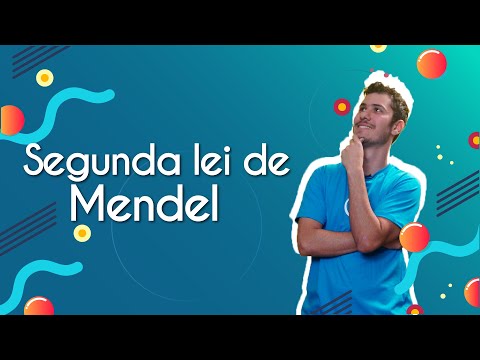 Segunda lei de Mendel - Brasil Escola