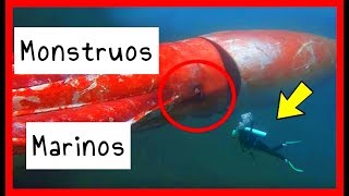 Los 10 Monstruos Marinos Mas Increibles Y Aterradores