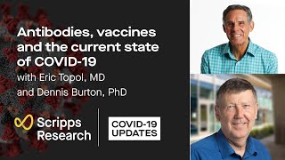 Antibodies, Vaccines and the Current State of COVID-19