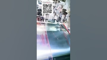 Custom Long Length Automatic Waterproof Seal Insertion & Crimping Machine #Automation