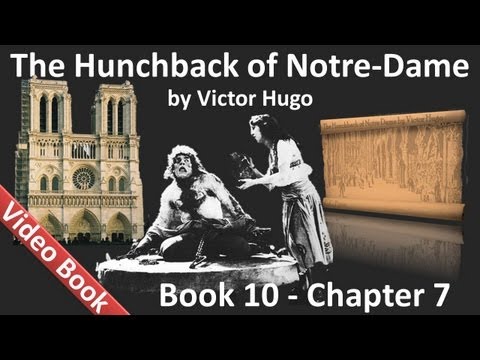 Book 10 - Chapter 7 - The Hunchback of Notre Dame ...