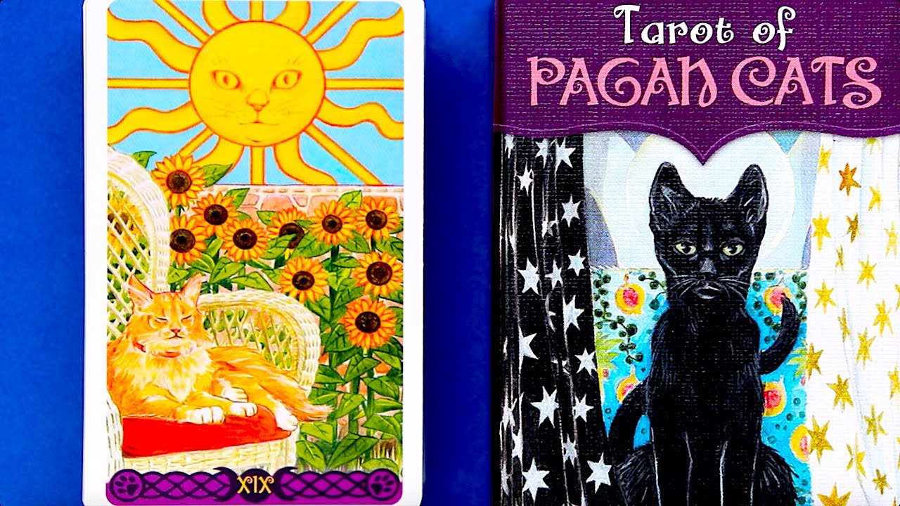 Tarot of Pagan Cats | Review & Walkthrough