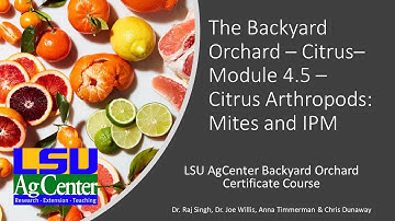 Citrus - Module 4.5 - Pests - Mites & IPM