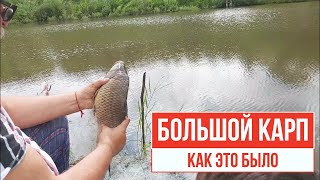 Пруд. Как зарыбить пруд.