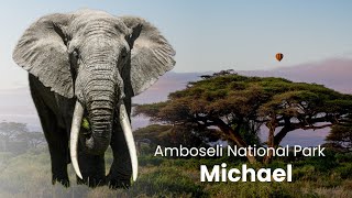 Big Tusker Michael at Amboseli - Amboseli National Park - Kenya 4K