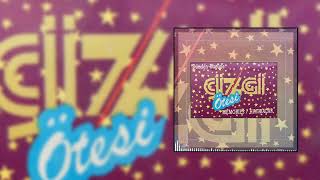 Cemil Sağyaşar - Rodrigos Guitar Concerto Official Audio