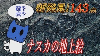 新発見！ナスカの地上絵に猫や魚も!！【マスクにゃんニュース】