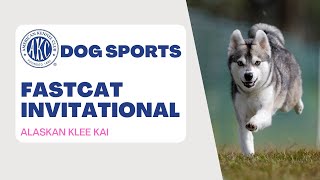 AKC FastCAT Invitational 2022  Alaskan Klee Kai