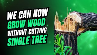 New Technology Allow Us To Grow Wood Without Cutting Single Tree 🌲 #technology #science #viralvideo