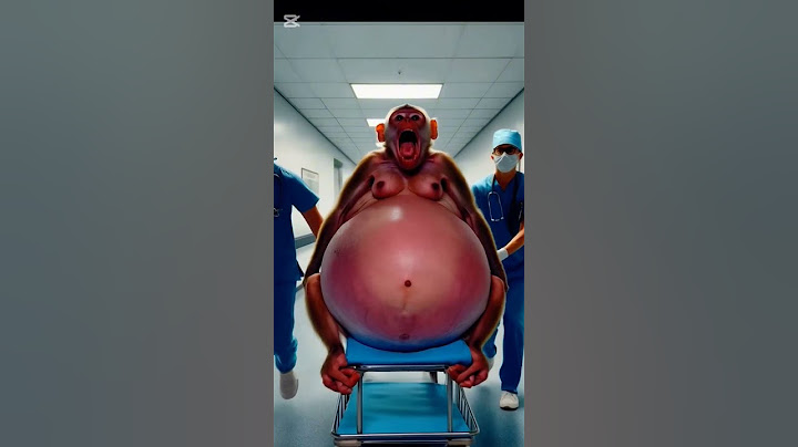 Part 2 | Kind doctors help of pregnant monkey in the operation #ai #monkeylover #shortsviral