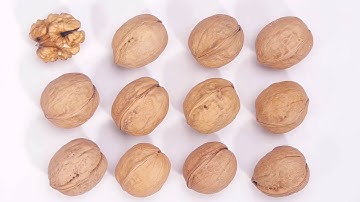GLOBALink | Xinjiang, My home: A thriving walnut cooperative