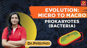 Prokaryotes (Bacteria) | Evolution: Micro to Macro | Practically