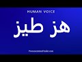 How To Pronounce هز طيز 