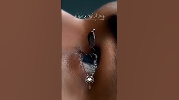 قال ألم نربك فينا وليدا....#تلاوة_خاشعة #آيات #المصحف #القرآن_الكريم #تلاوات #اكسبلور