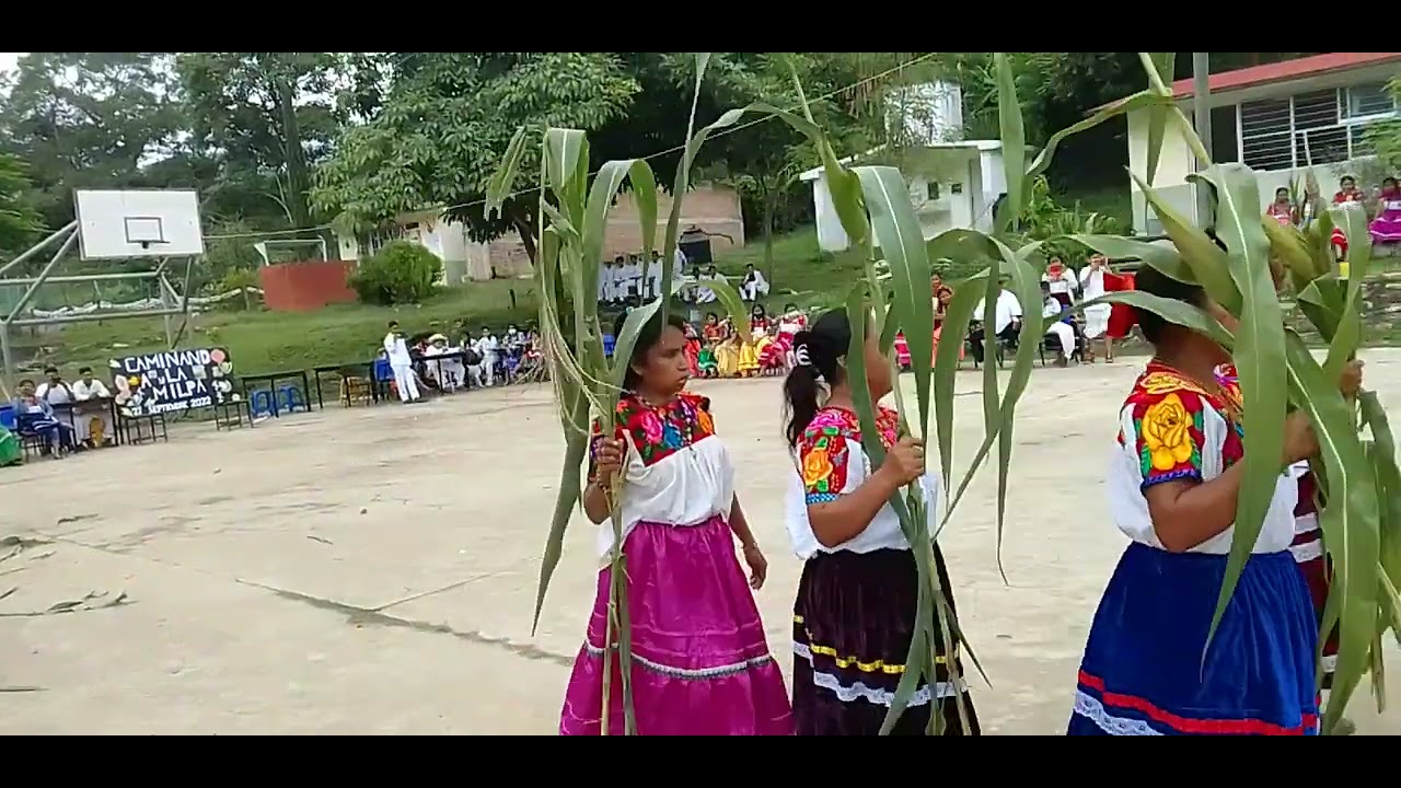 Fiesta del elote en secundaria Xochimilco Ixhuatlán de madero Veracruz
