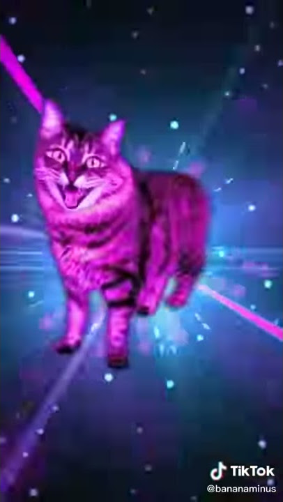 Моргенкот 4 часть