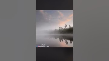 القارئ / عاصم التويجري ، شرح ربي قلبه ( سورة يس من ٥٥ الى ٥٨ )