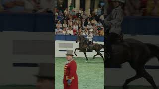 Queen's Flicka WCC