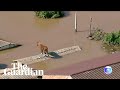 Horse stuck on roof after flooding hits southern Brazil