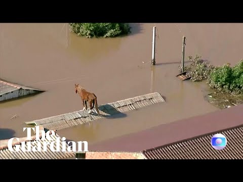 Horse stuck on roof after flooding hits southern Brazil