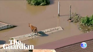 Horse stuck on roof after flooding hits southern Brazil